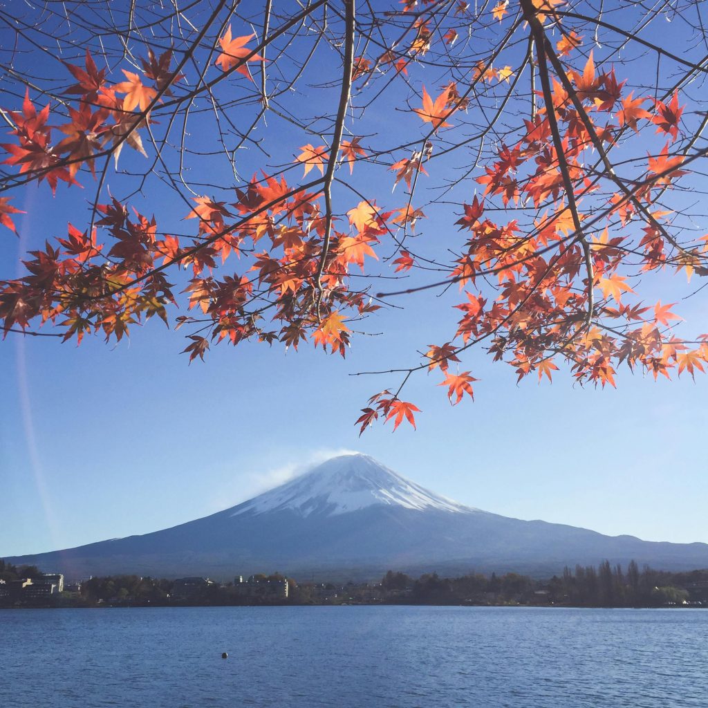 Stunning view of Mount Fuji framed by vibrant autumn maple leaves at a serene lake.